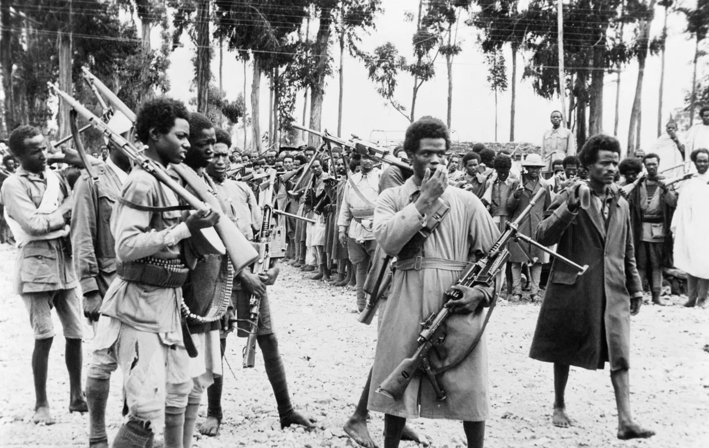 Ethiopian men carrying rifles gather in Addis Ababa in May 1941.